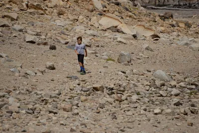 DSC_3004 (Large).JPG